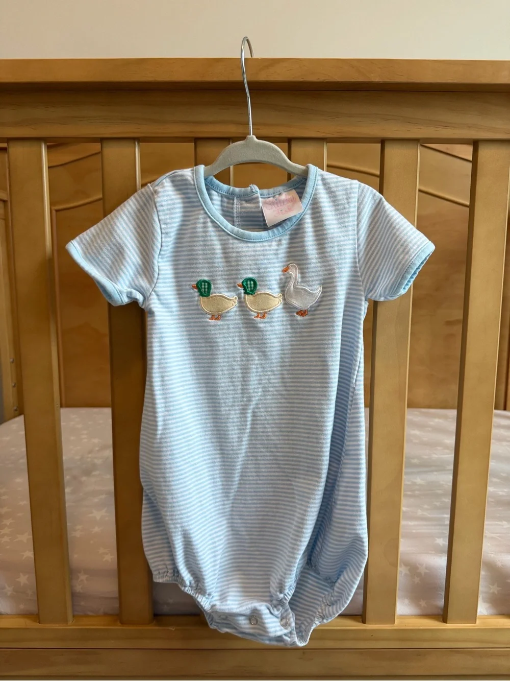Stitchy Fish 2T Blue Stripe Duck Duck Goose Appliqué Bubble